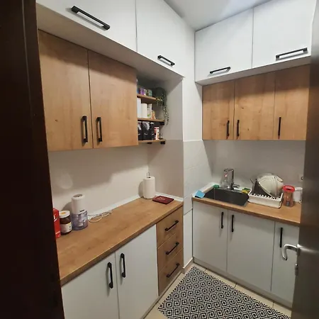 Aurora * ノヴィ・サド