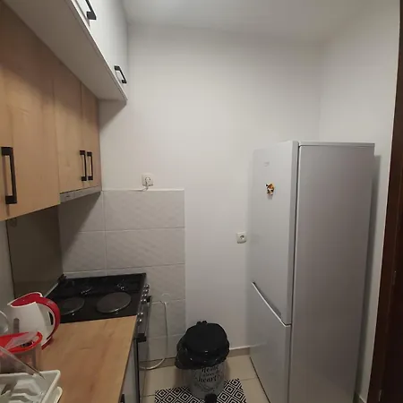 Aurora * ノヴィ・サド